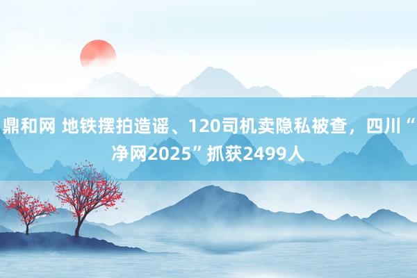鼎和网 地铁摆拍造谣、120司机卖隐私被查，四川“净网2025”抓获2499人