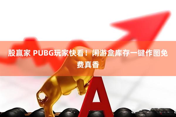 股赢家 PUBG玩家快看！闲游盒库存一键作图免费真香