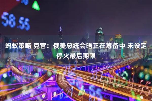 蚂蚁策略 克宫：俄美总统会晤正在筹备中 未设定停火最后期限