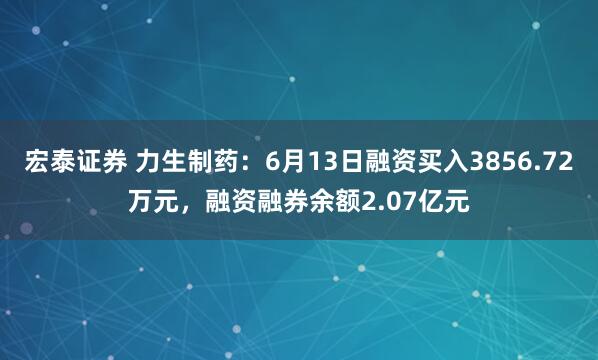 宏泰证券 力生制药：6月13日融资买入3856.72万元，融资融券余额2.07亿元