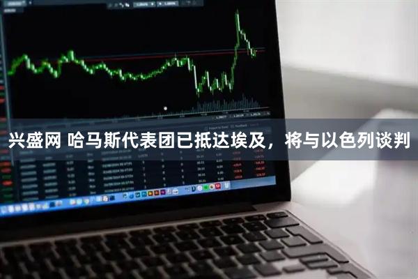 兴盛网 哈马斯代表团已抵达埃及，将与以色列谈判
