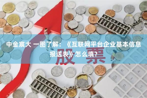 中金宸大 一图了解：《互联网平台企业基本信息报送表》怎么填？