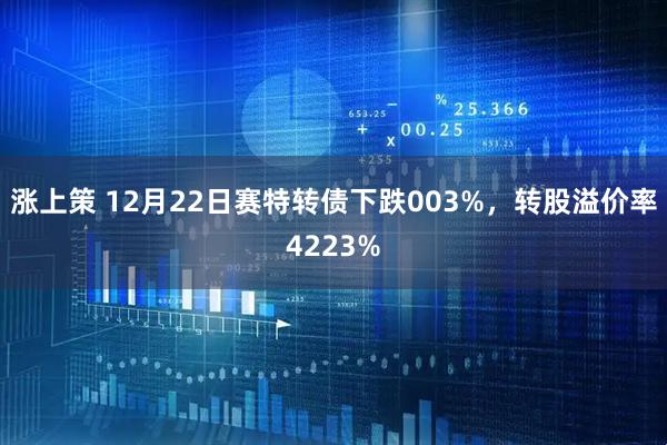 涨上策 12月22日赛特转债下跌003%，转股溢价率4223%