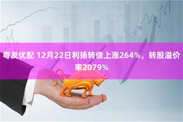粤友优配 12月22日利扬转债上涨264%，转股溢价率2079%