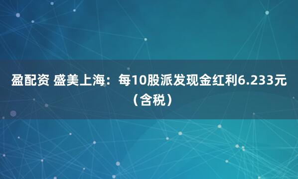 盈配资 盛美上海：每10股派发现金红利6.233元（含税）