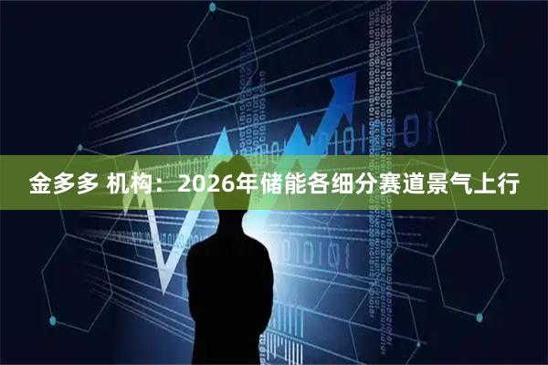 金多多 机构：2026年储能各细分赛道景气上行