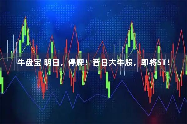 牛盘宝 明日,停牌!昔日大牛股,即将ST!